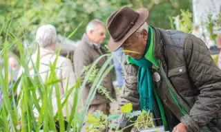 Andrew's Garden: topkweker